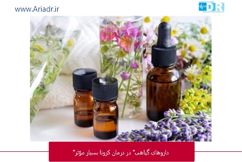 "داروهای گیاهی" در درمان کرونا بسیار مؤثرتر از داروهای پرعارضه شیمیایی